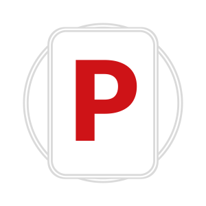 logo-parking-bn